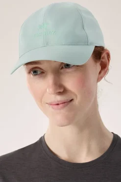 Arc'teryx Mens Bird Word Cap