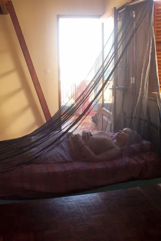 Lifesystems SoloNet Single Mosquito Net