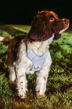 Mountain Paws Dog Harness - Medium