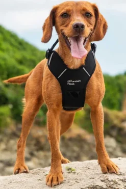 Mountain Paws Dog Harness - Medium
