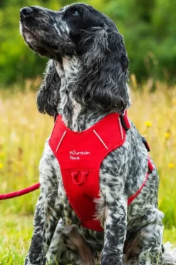 Mountain Paws Dog Harness - Medium