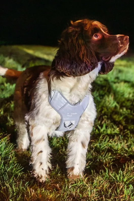 Mountain Paws Dog Harness - Small