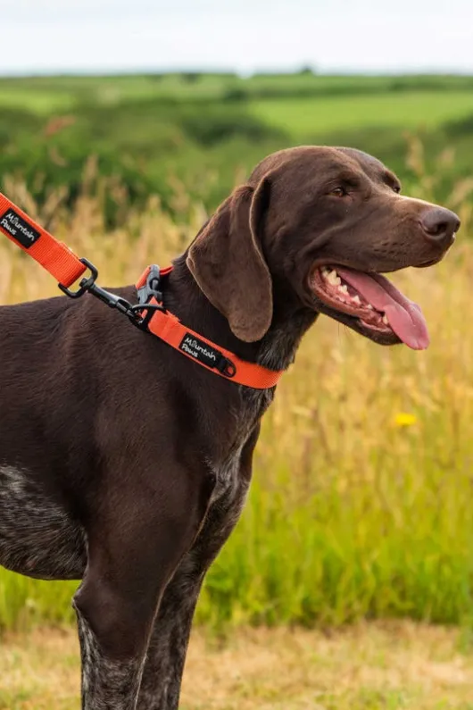 Mountain Paws Extra Tough Dog Lead