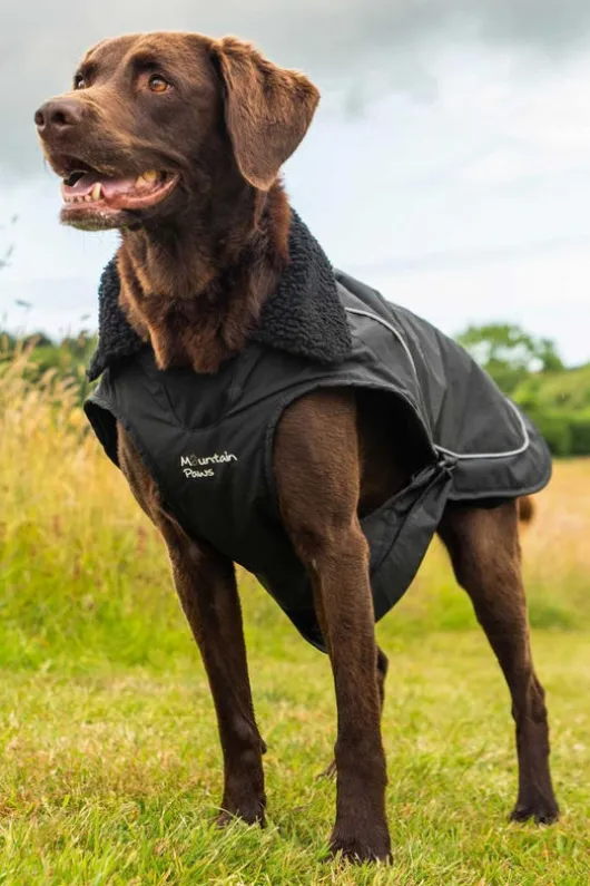 Mountain Paws Fleece Lined Dog Raincoat - Medium
