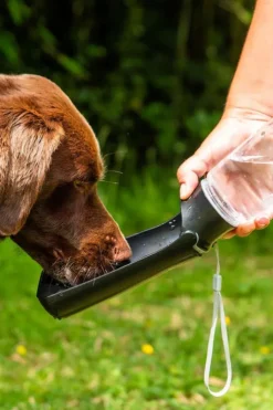 Mountain Paws Folding Dog Water Bottle