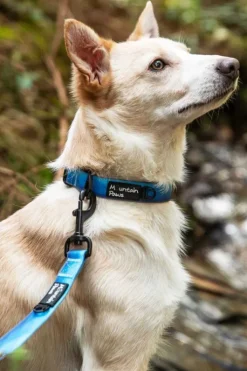 Mountain Paws Waterproof Dog Collar - Medium