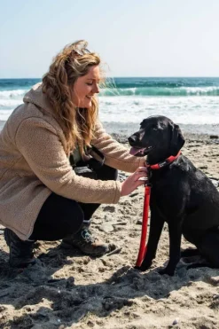 Mountain Paws Waterproof Dog Lead