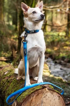 Mountain Paws Waterproof Dog Lead