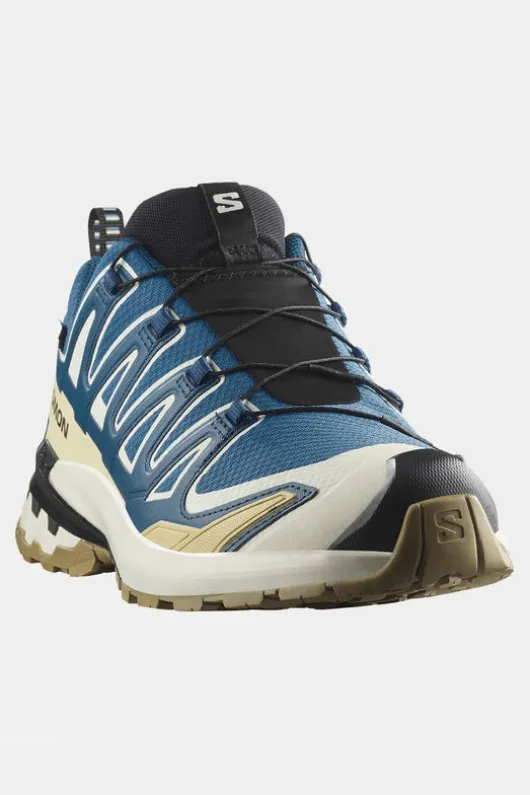 Salomon Mens XA Pro 3D V9 GTX Shoes