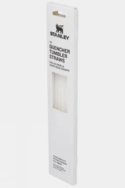Stanley Quencher H2.0 Flowstate Tumbler Straws Replacement (4 Pack)